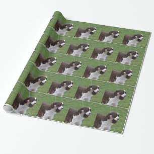 Papel De Presente Spaniel de Springer doce