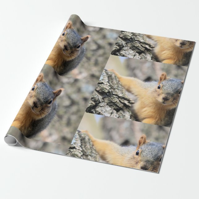 Papel De Presente Sr. Cutie (Desenrolado)