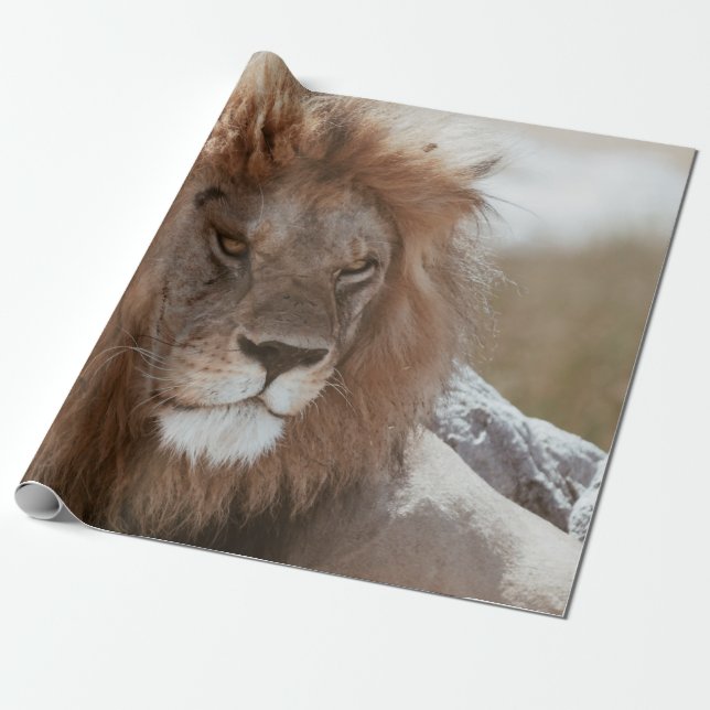 PAPEL DE PRESENTE SR. LION (Desenrolado)