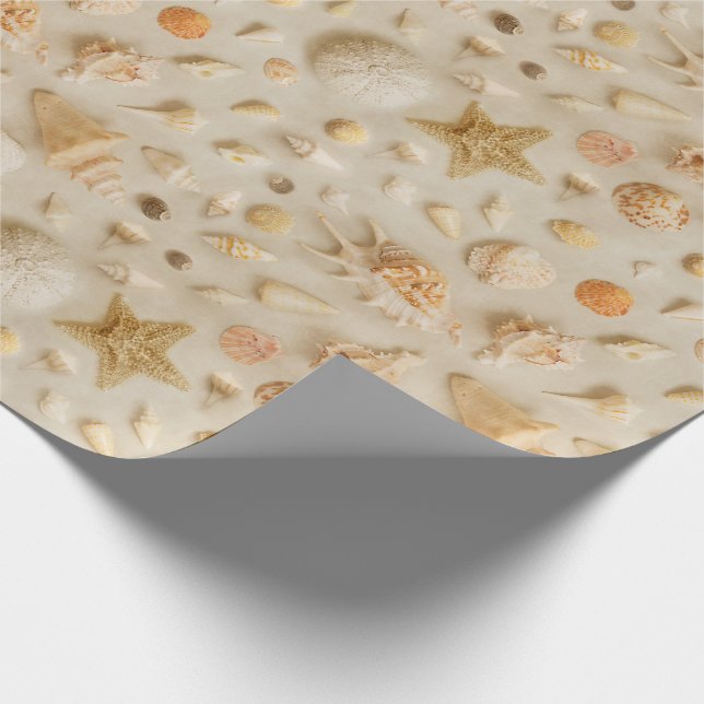 Papel De Presente Starfish e Seashells Beach Photo (Ponta)