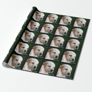 Papel De Presente Sua foto quadrada substitui o filhote de cachorro