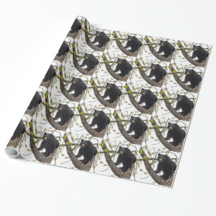Papel De Presente Subindo Urso Negro