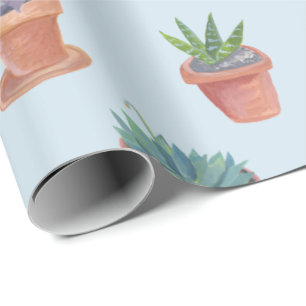 Papel De Presente Succults e cactos no plástico azul