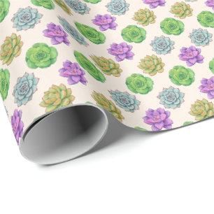 Papel De Presente Suculentas