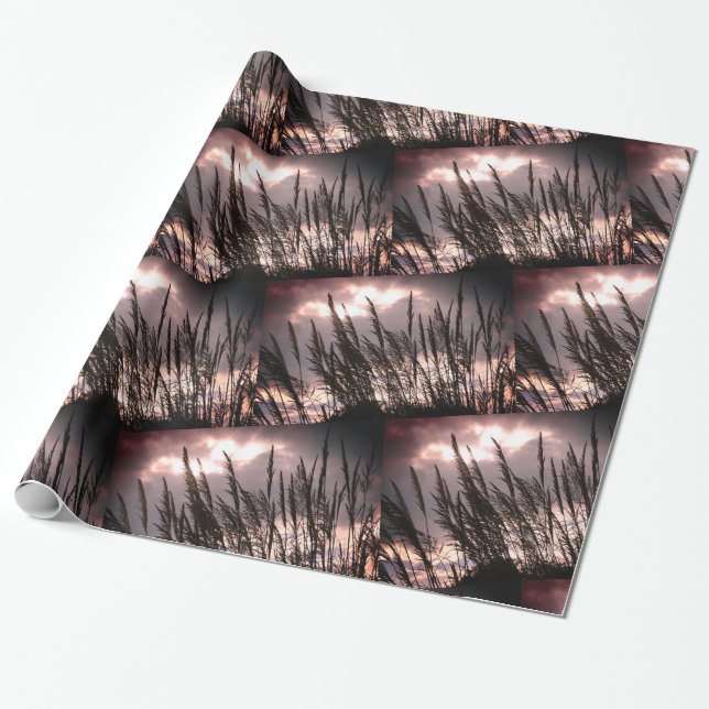 Papel De Presente Summer Breeze, Grass, Foto do Skies (Desenrolado)