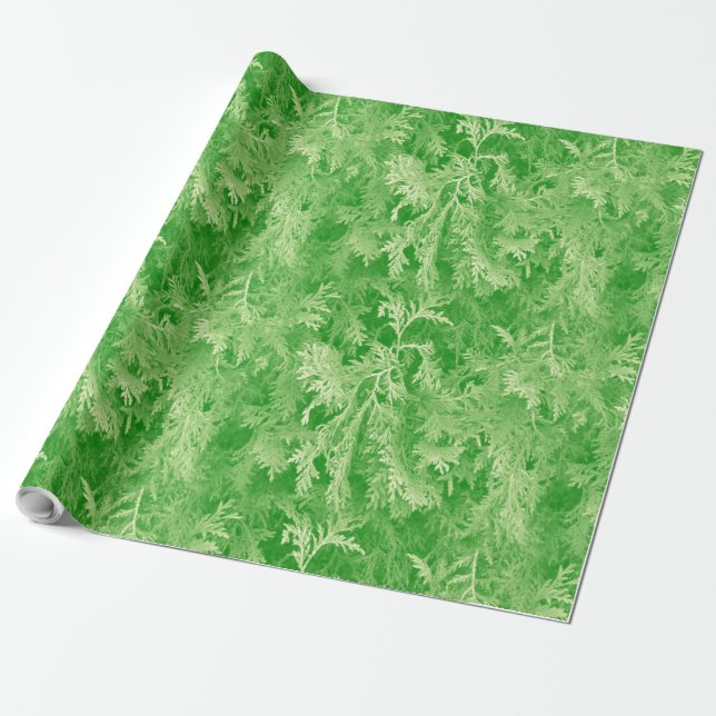 Papel De Presente Summer Moss (Desenrolado)