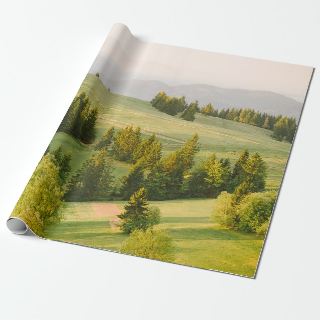 Papel De Presente summer mountains green grass and blue sky landscap (Desenrolado)