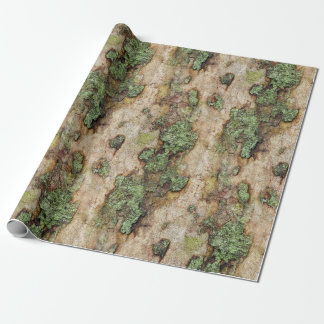 Papel De Presente Sycamore Tree Latido Moss Lichen
