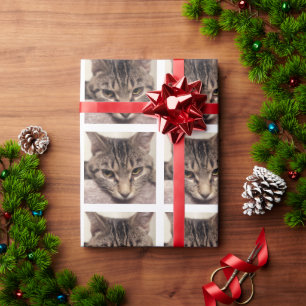 Papel De Presente Tabby Cat-Instagram por Shirley Taylor