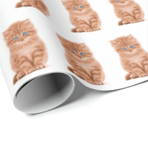 Papel De Presente Tabby Kitten On White