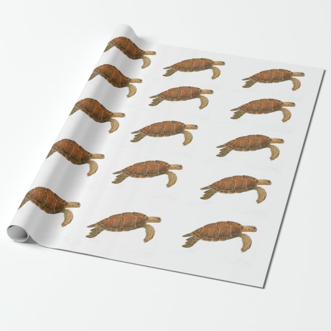 Papel De Presente Tartaruga de mar verde (Desenrolado)