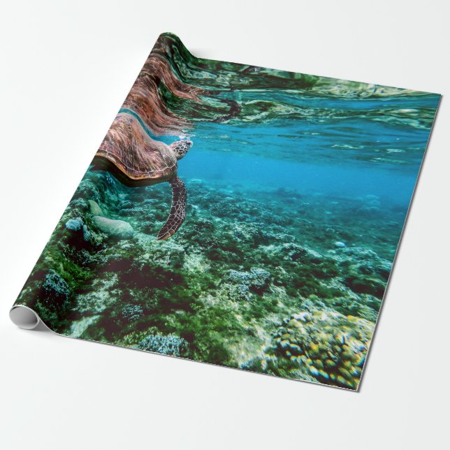 Papel De Presente Tartaruga marinha tropical (Desenrolado)