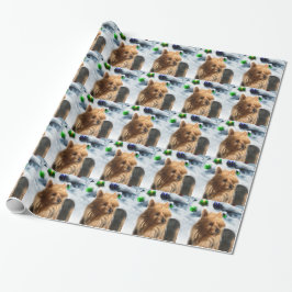 Papel De Presente Terrier Natal australiano