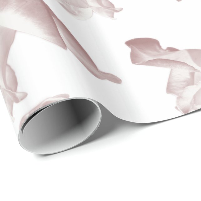 Papel De Presente teste padrão dos rosas (Ponta do rolo)