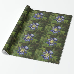 Papel De Presente Texas Bluebonnet Wraping Paper