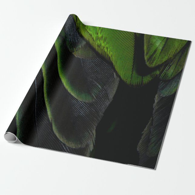 Papel De Presente Têxteis de xadrez verde e preto (Desenrolado)