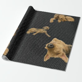 Papel De Presente The Obstinate Airedale Wrapping Paper