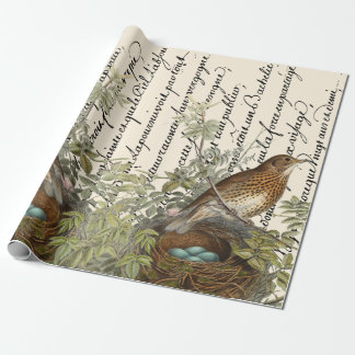 Papel De Presente Thrush Bird e o Nest - Script francês Vintage
