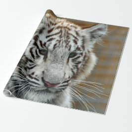 Papel De Presente Tigre20151001