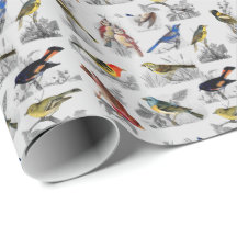 Todos os tipos de papel de enrolamento de aves