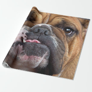 Papel De Presente Travesseiro decorativo Inglês Bulldog