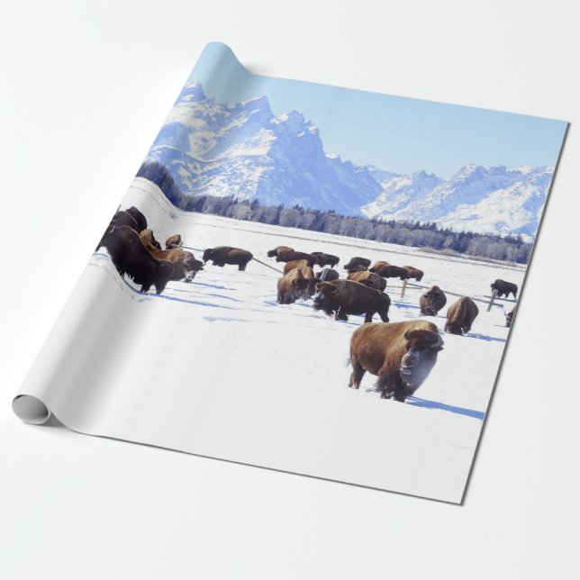 Papel De Presente Trazendo a casa do ar livre (Desenrolado)