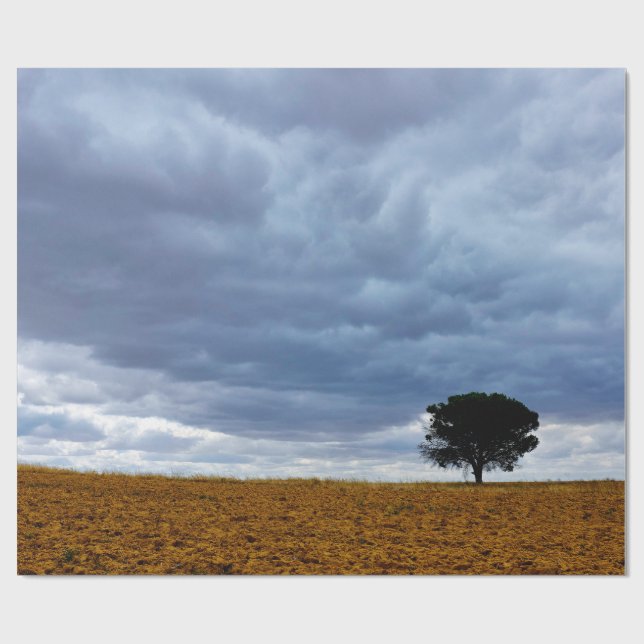 Papel De Presente Tree in an empty field (Aberto)