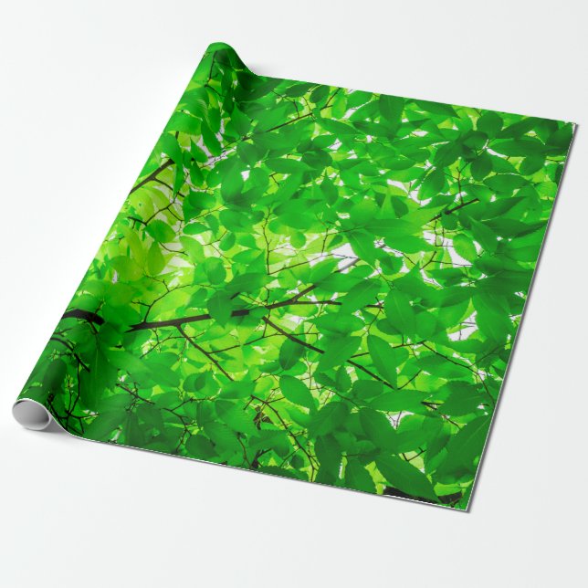 Papel De Presente Tree leaf twig texture pattern (Desenrolado)