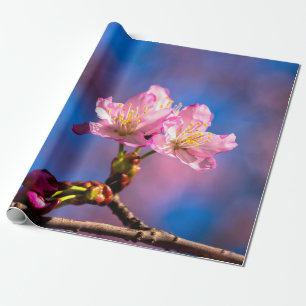 Papel De Presente Três Flores Sunlit Sakura