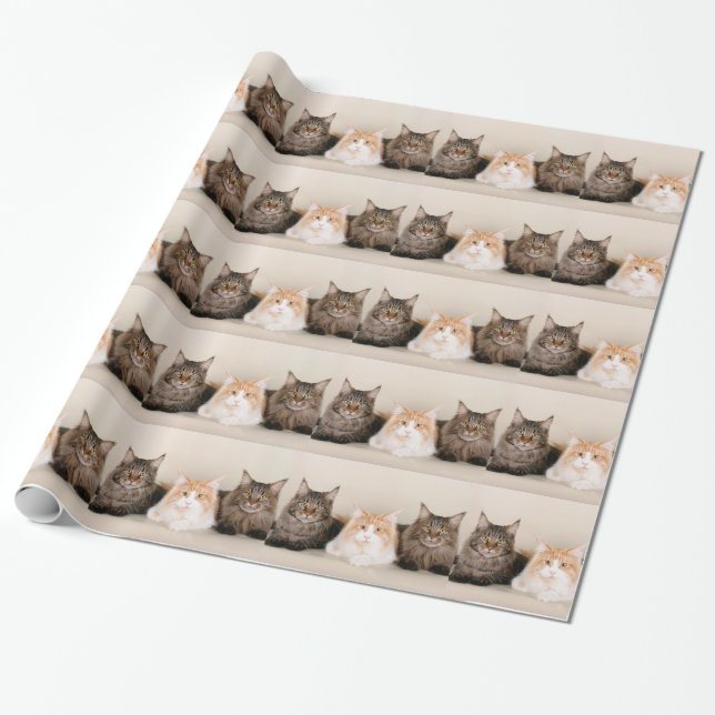 Papel De Presente Três Gatos De Maine Coon (Desenrolado)