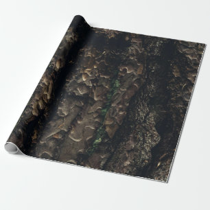 Papel De Presente Tronco de árvore marrom e preta