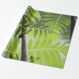 Papel De Presente Tropical Verde