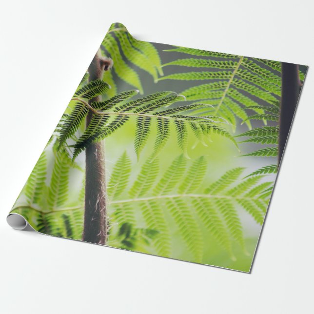 Papel De Presente  Tropical Verde (Desenrolado)