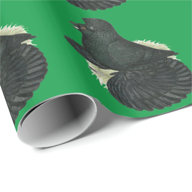 Papel De Presente Trumpeter Pigeon Preto (Ponta do rolo)