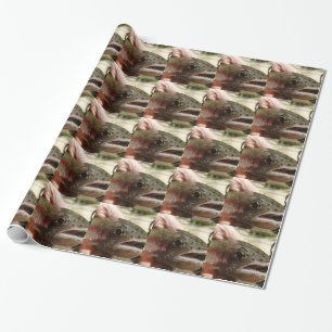 Papel De Presente Truta nas Mãos