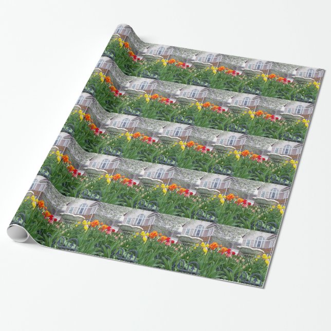Papel De Presente Tulipas de primavera (Desenrolado)