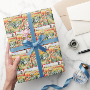 Papel De Presente Tulipas Neerlandesas No Cesto De Bicicletas