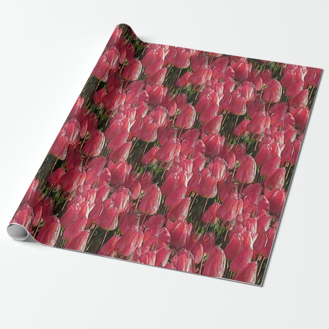 Papel De Presente Tulipas Rosa Floral (Desenrolado)
