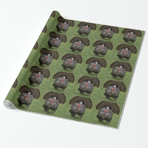 Papel De Presente Turquia
