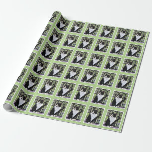 Papel De Presente Tuxedo Cat em Pintura de Janela Arte Animal Origin