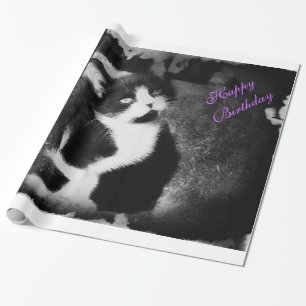 Papel De Presente Tuxedo Kitten Photo Art Wrappaper *Aniversário*
