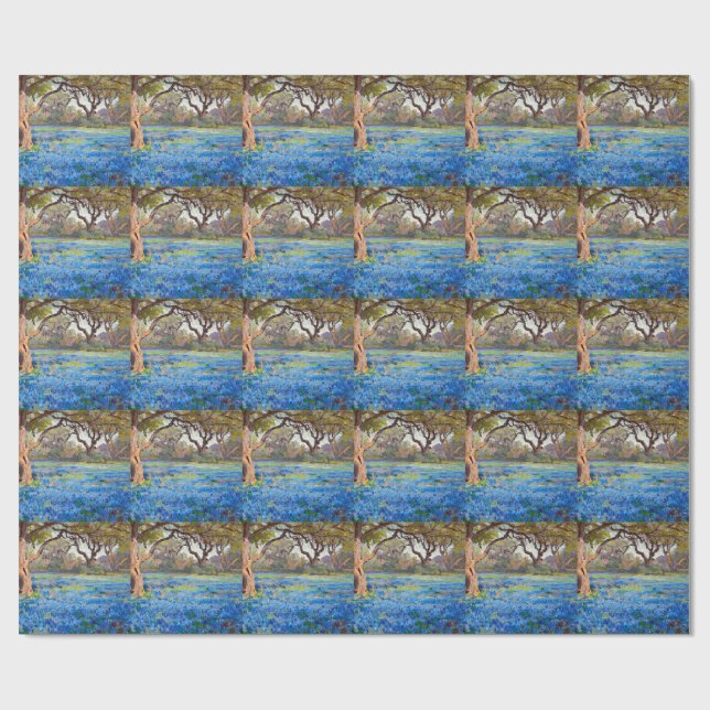 Papel De Presente Um Campo de Bluebonnets em Alamo Heights, (Aberto)