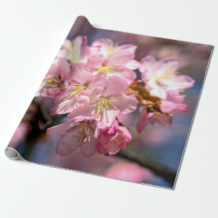 Papel De Presente Um Festival De Flores Rosa Sakura