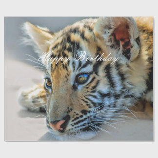 Papel De Presente Um gatinho