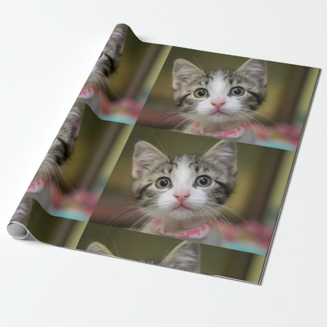 Papel De Presente Um gatinho fofo com olhos verdes (Desenrolado)