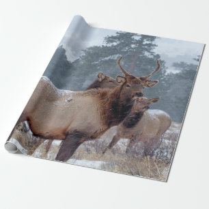 PAPEL DE PRESENTE UM GRUPO DE DEERS