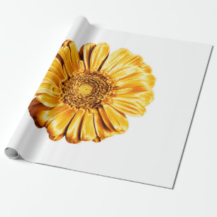 Papel De Presente Um isolado branco de fundo de flor gerbera ouro
