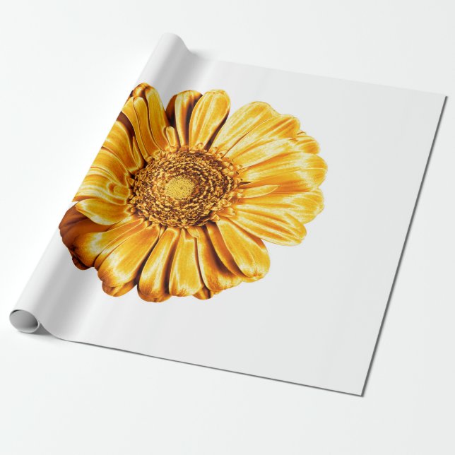 Papel De Presente Um isolado branco de fundo de flor gerbera ouro (Desenrolado)