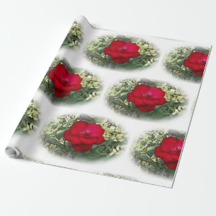Papel De Presente Um rosa solitário