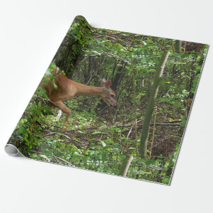 Papel De Presente Um Stroll através das madeiras